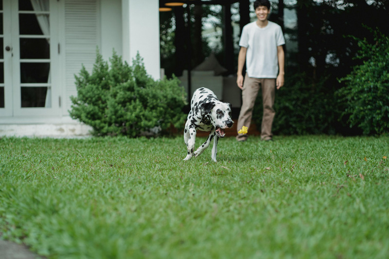 A local dog owner and his dog in a green yard